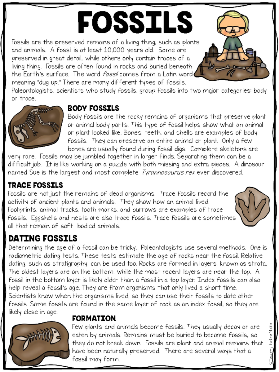 Types Of Fossils Activity Worksheet Reading Comprehension Science Escape Room A Love Of Teaching Kim Miller