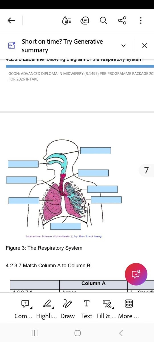 4 2 3 6 Label The Following Diagram Of The Respiratory System Figure 3 4 2 3 6 Label The Following Diagram Of The Respiratory System Figure 3