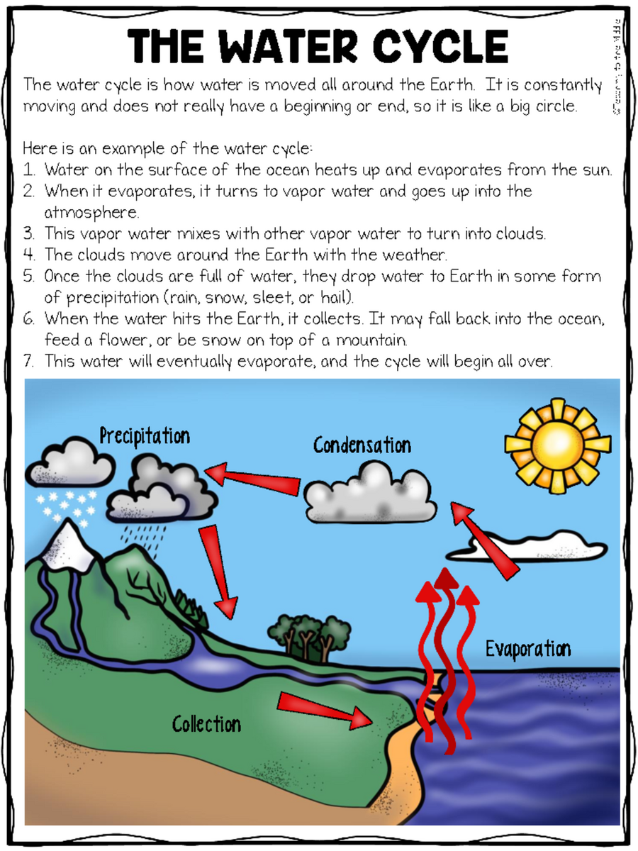 6 Water Cycle Reading Comprehension Worksheet For Science Class Studocu Water Cycle Printables Teaching Mama