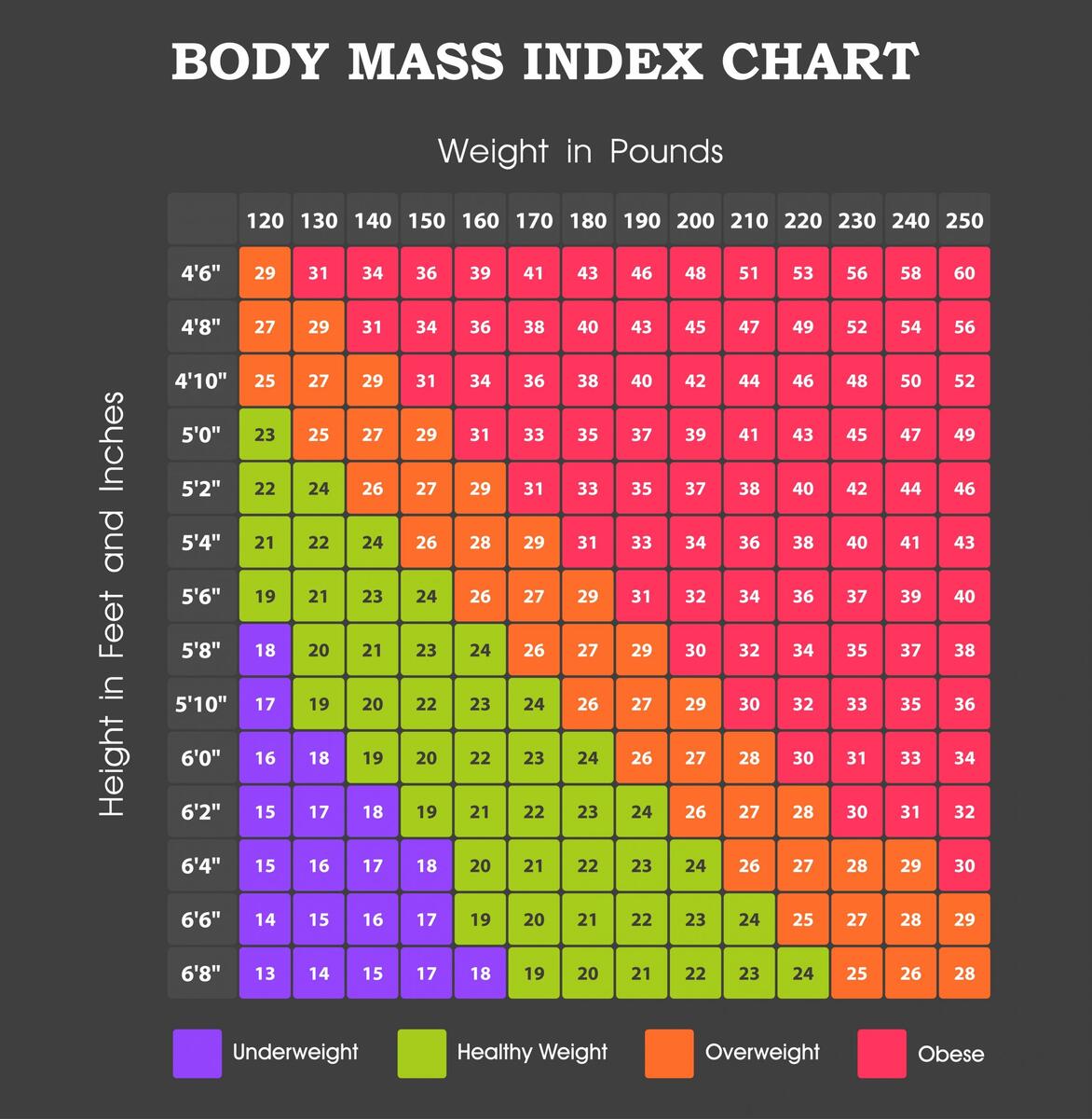 9 2 Body Mass Index BMI And Waist Circumference Nutrition And Physical Fitness Body Mass Index Bmi Chart Stock Vector Royalty Free 1610175649 Shutterstock