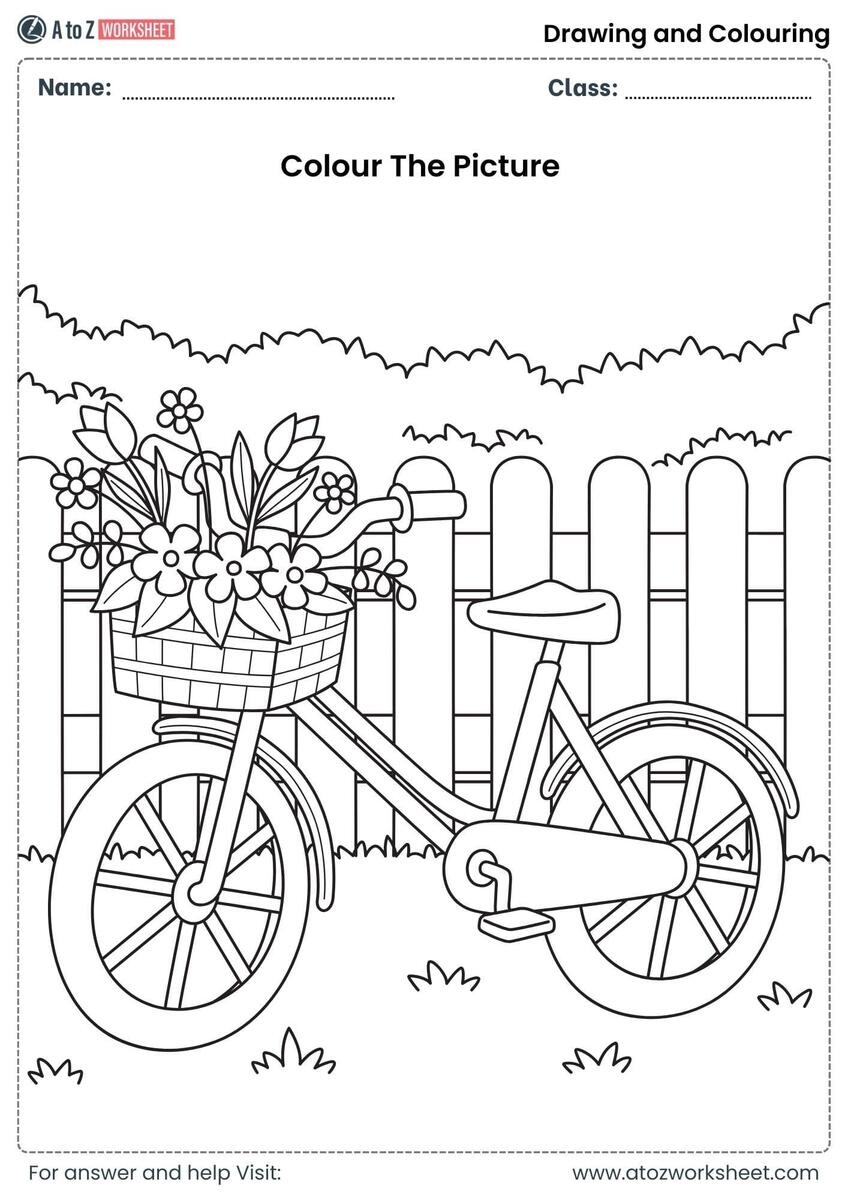 90 Drawing And Coloring Worksheets PDF A To Z Worksheet Store
