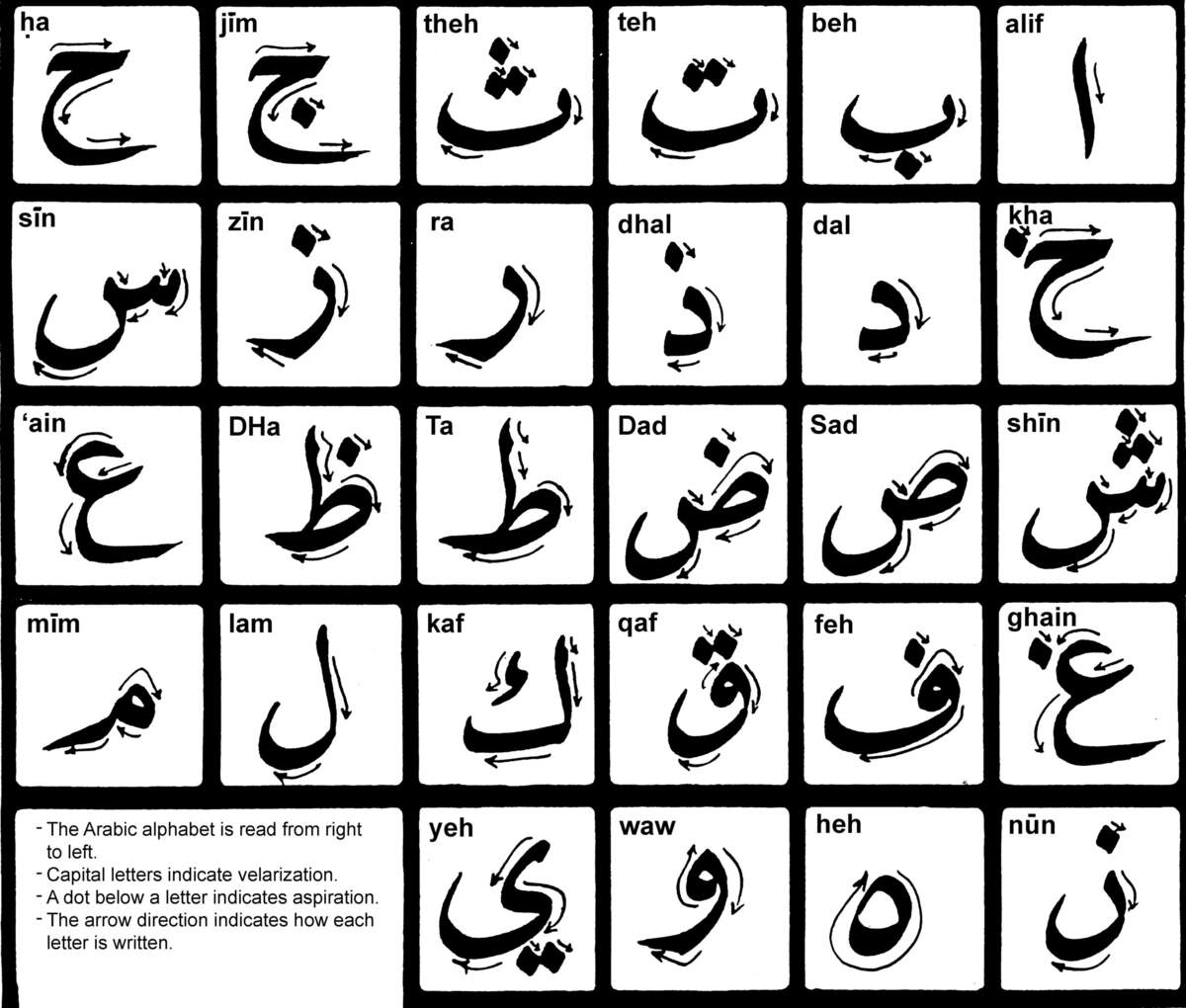 All About Learning The Arabic Alphabet Online Fifty Centuries