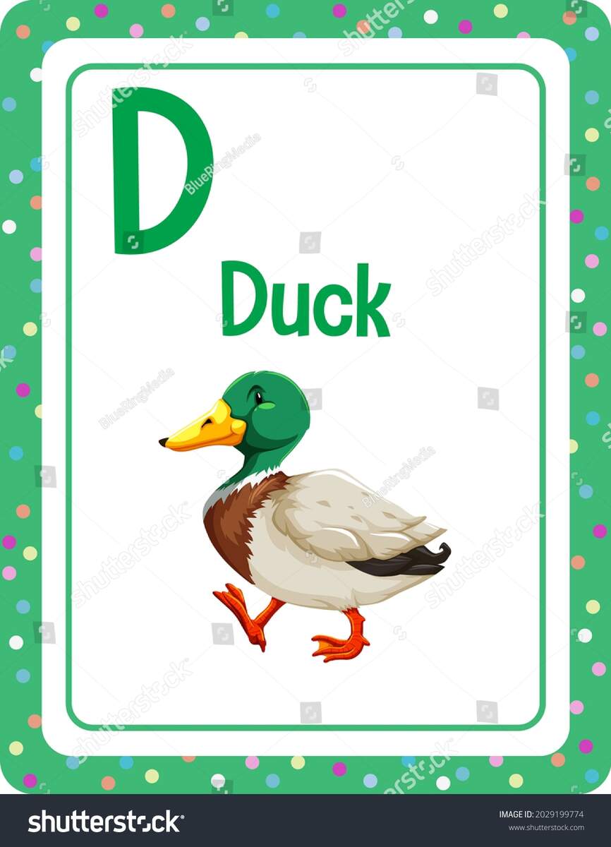 Alphabet Flashcard Letter D Duck Illustration Stock Vector Royalty Free 2029199774 Shutterstock Alphabet Flashcard Letter D Duck Illustration Stock Vector Royalty Free 2029199774 Shutterstock