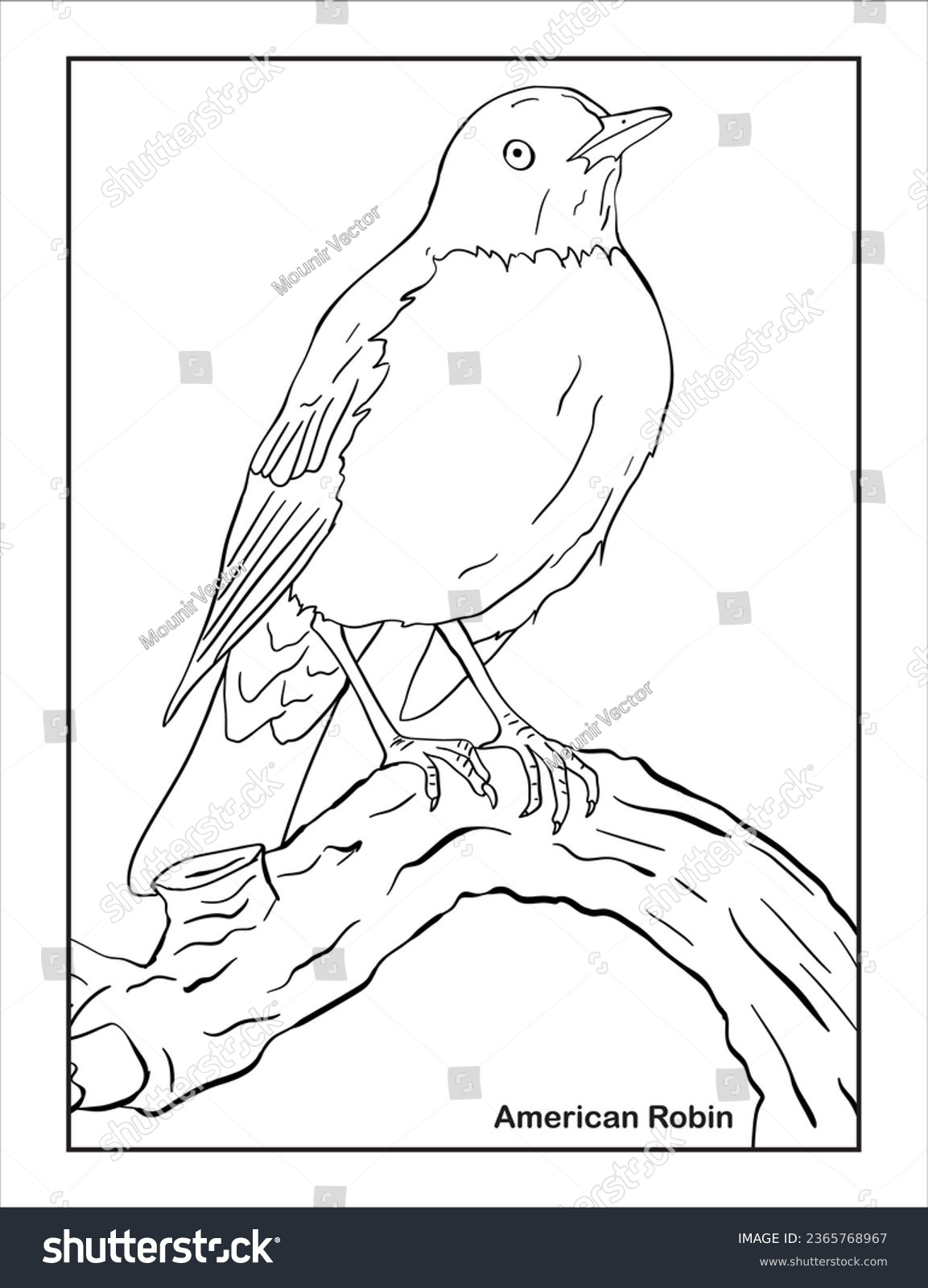 American Robin Bird Coloring Page Stock Vector Royalty Free 2365768967 Shutterstock American Robin Bird Coloring Page Stock Vector Royalty Free 2365768967 Shutterstock