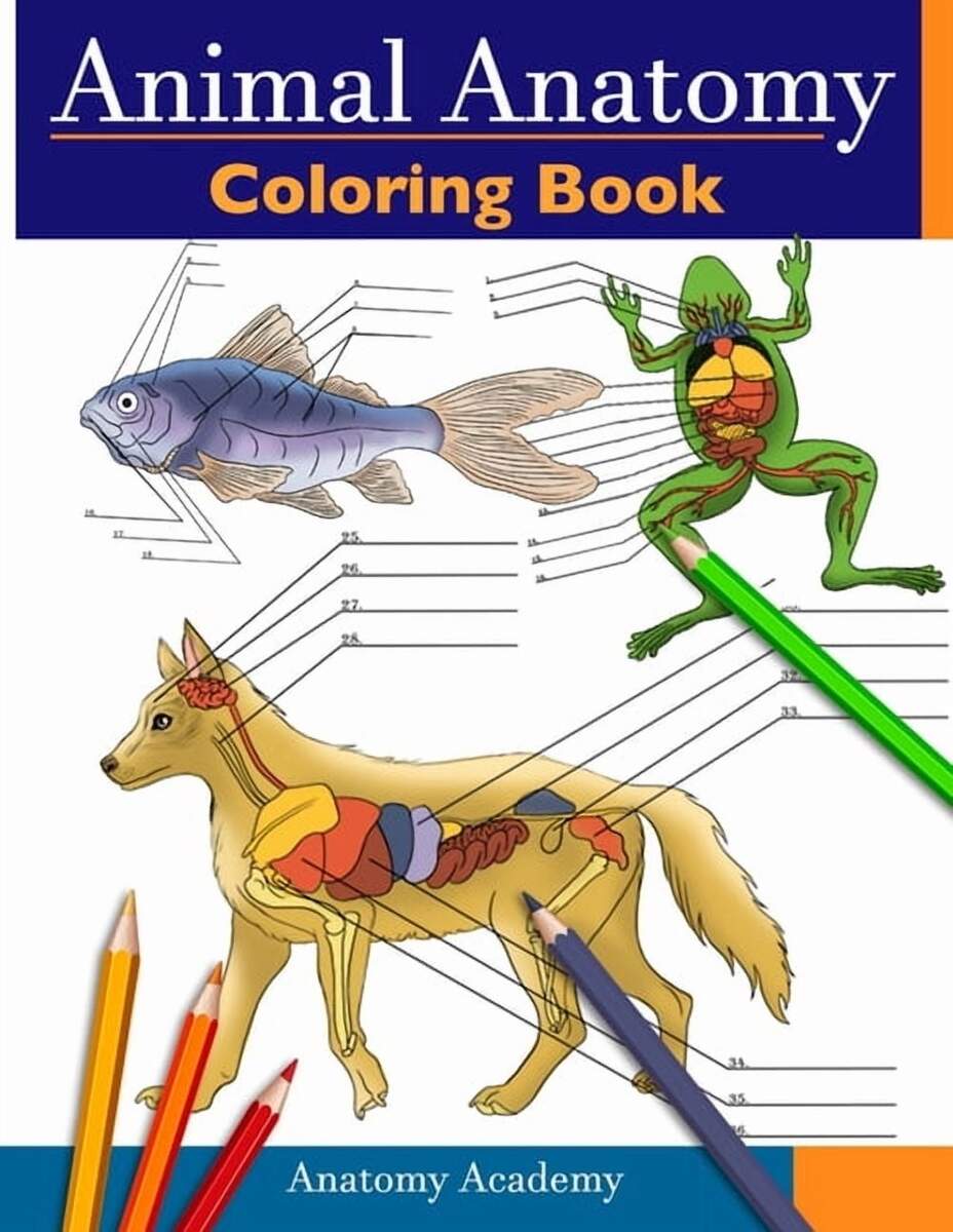 Animal Anatomy Coloring Book Incredibly Detailed Self Test Veterinary Anatomy Color Workbook Perfect Gift For Vet Stude Paperback Walmart Animal Anatomy Coloring Book Incredibly Detailed Self Test Veterinary Anatomy Color Workbook Perfect Gift For Vet Stude Paperback Walmart