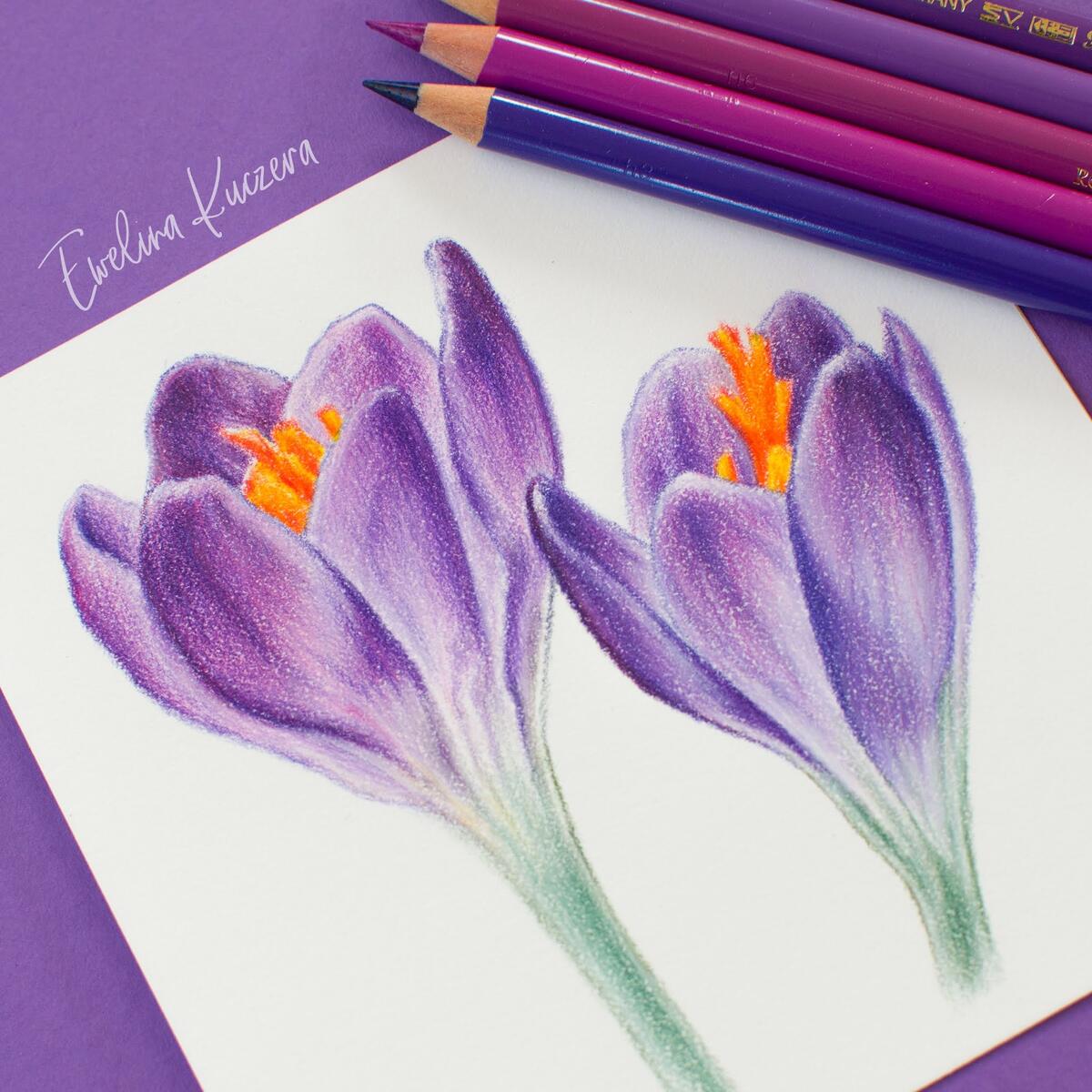 Artistic Blog Learn How To Draw With Colored Pencils How To Draw Flowers With Colored Pencils A Step By Step Tutorial Try Colored Pencils With Beginner Projects Craftsy