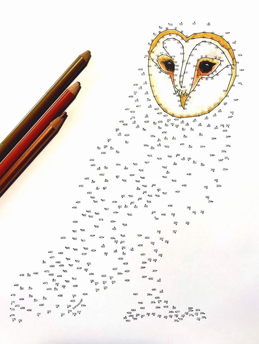 Barn Owl Extreme Dot To Dot PDF Activity And Coloring Page Etsy