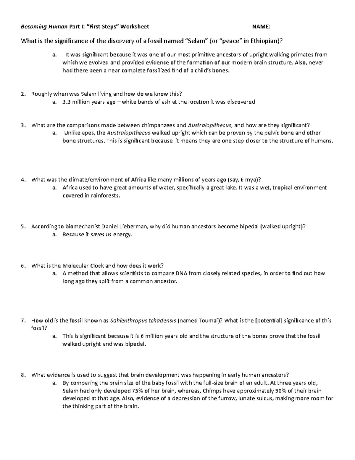 Becoming Human Part I Video Worksheet Analysis And Insights Studocu
