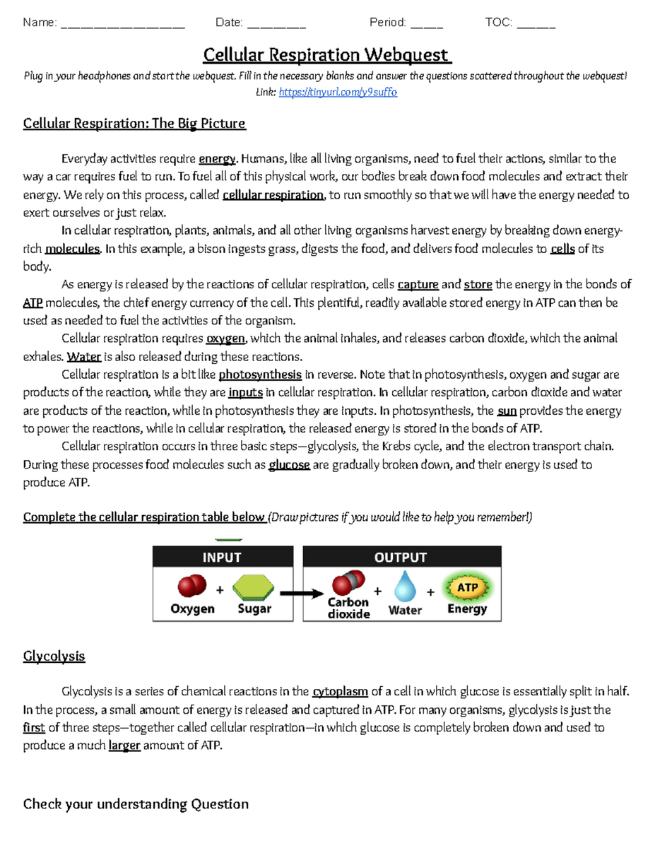 Biology 029 Mendelian Genetics Video Review Notes Key Concepts Studocu Biology 029 Mendelian Genetics Video Review Notes Key Concepts Studocu