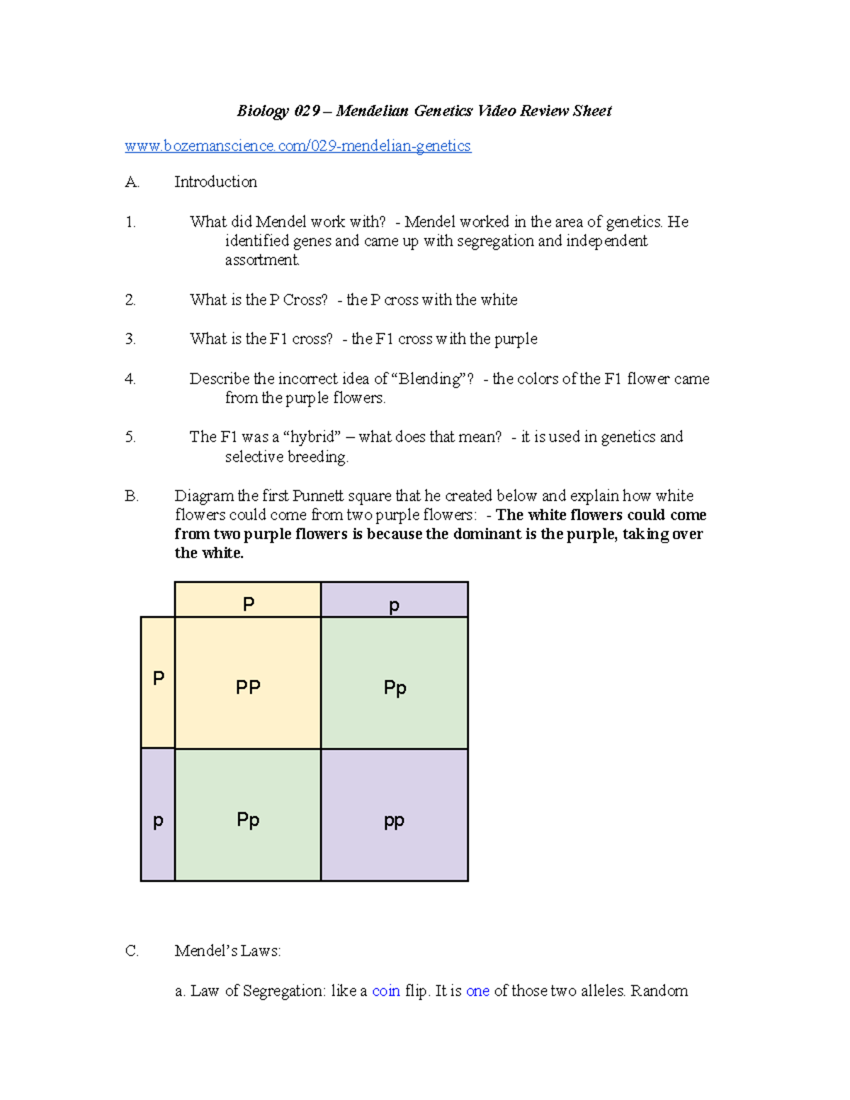 Biology 029 Mendelian Genetics Video Review Notes Key Concepts Studocu