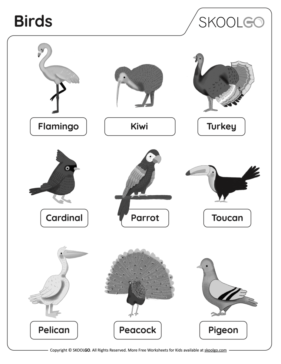 Birds Free Worksheet SKOOLGO