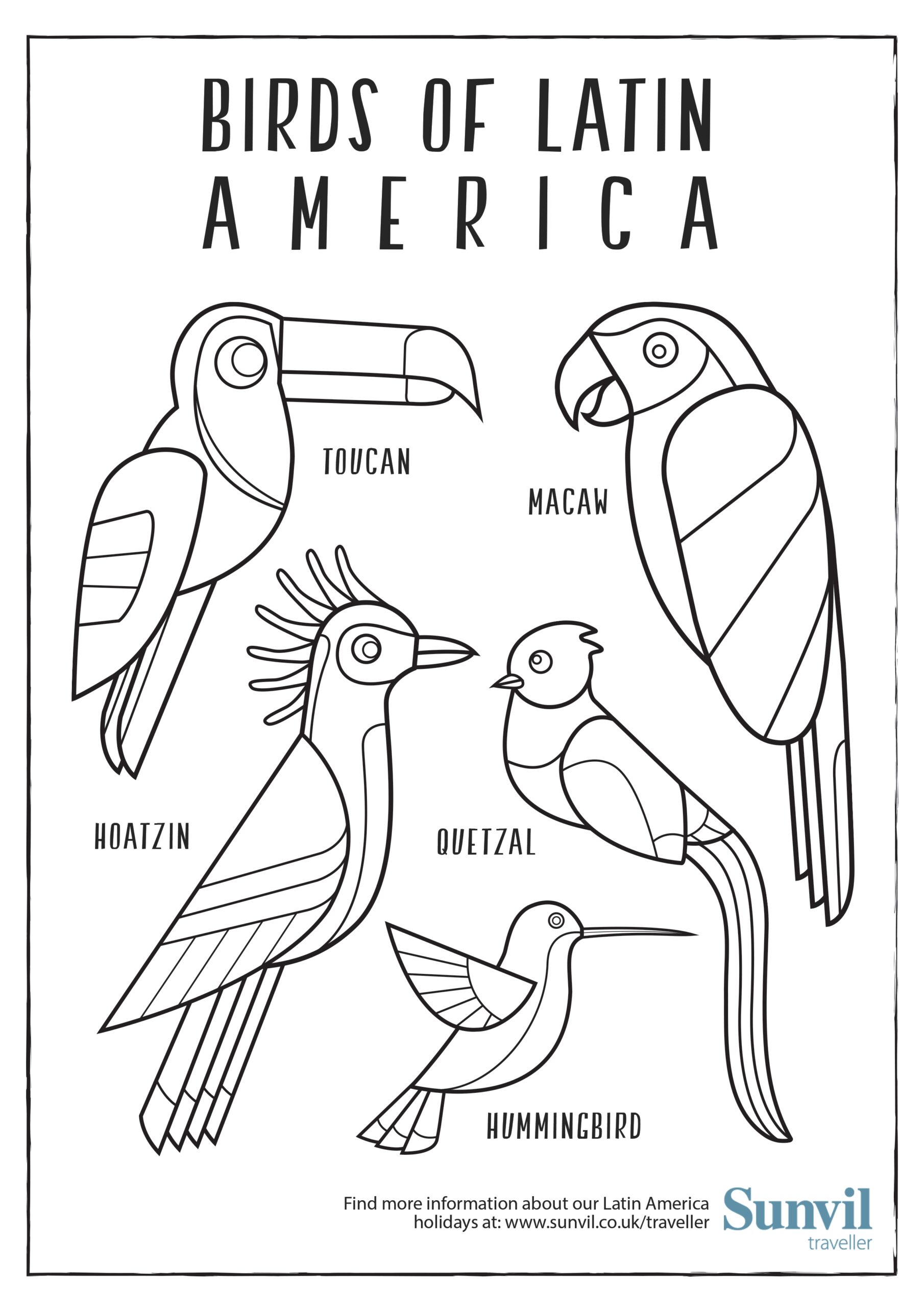 Birds Of Latin America Colouring Page Birds Of Latin America Colouring Page