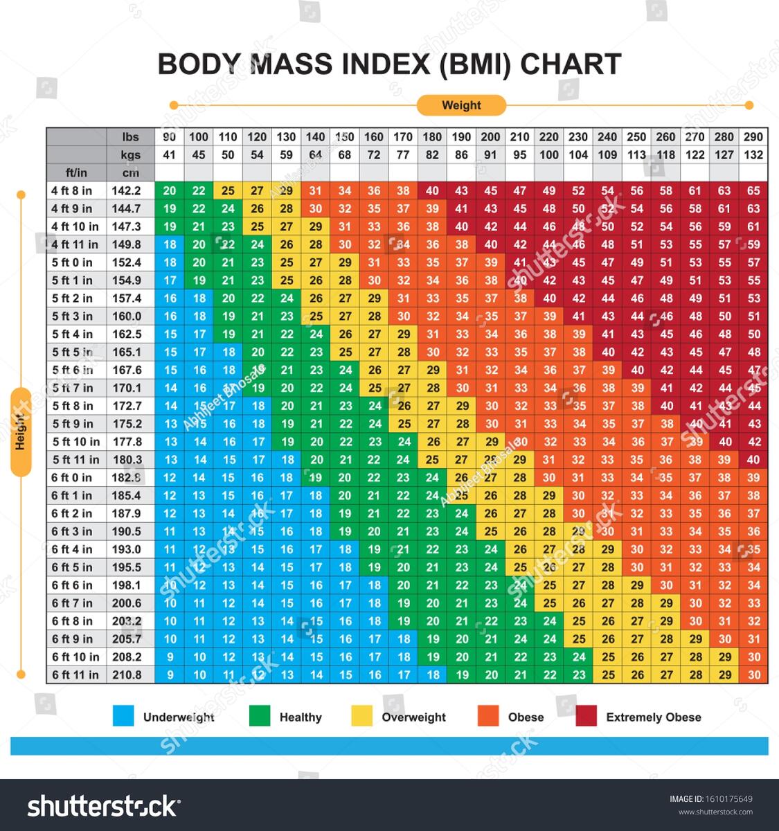 Body Mass Index Bmi Chart Stock Vector Royalty Free 1610175649 Shutterstock Body Mass Index Bmi Chart Stock Vector Royalty Free 1610175649 Shutterstock
