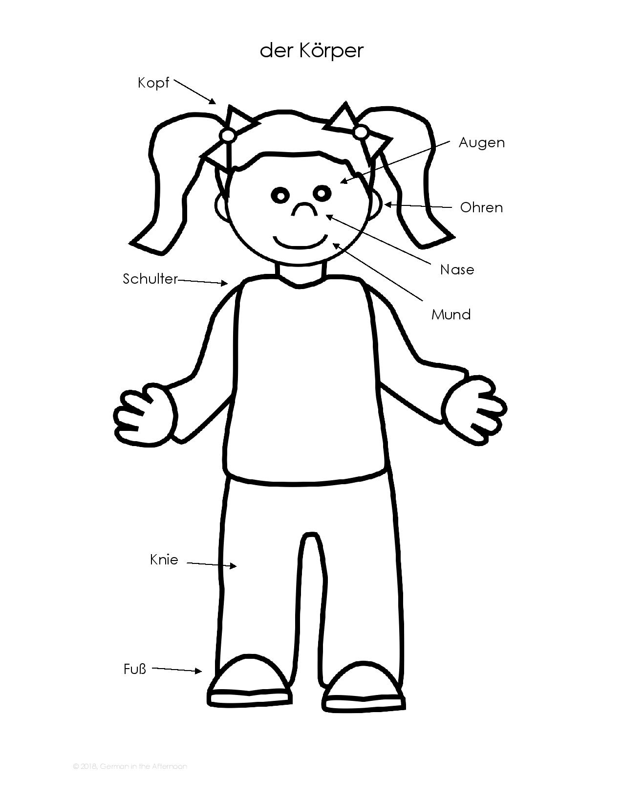 Body Parts German In The Afternoon Activities German Body Parts Worksheet Toddler Activity Homeschool Printables Kindergarten Learning Resources Preschool Curriculum Learning Body Parts Etsy