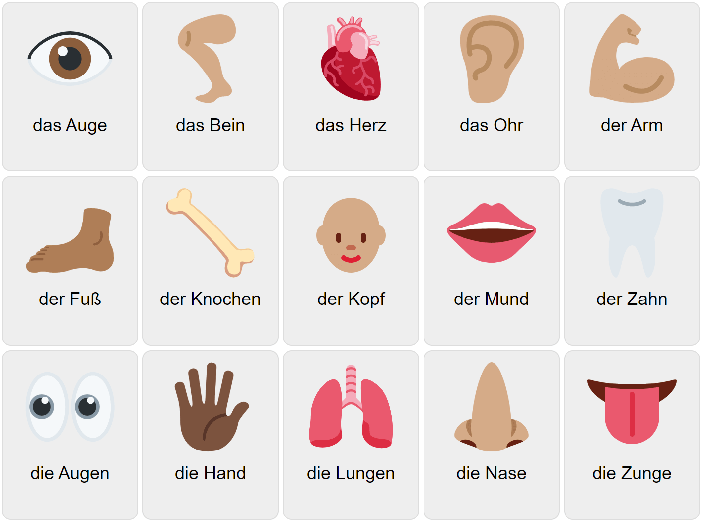 Body Parts In German Vocabulary Game Ekvis Body Parts In German Vocabulary Game Ekvis