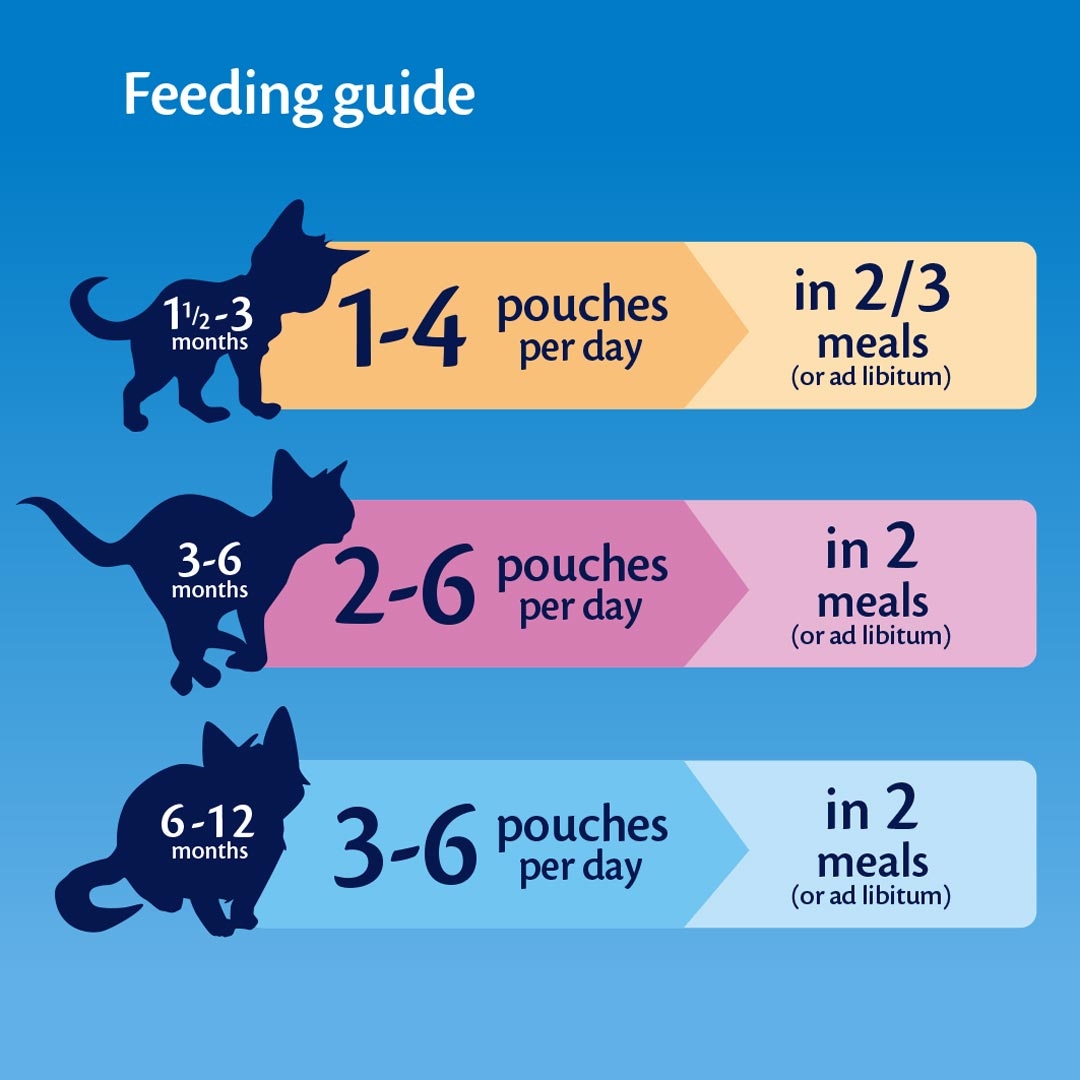 Bottle Feeding Chart How Much Should A Week Kitten Eat Kitten Bottle Feeding Tracker Newborn Cat