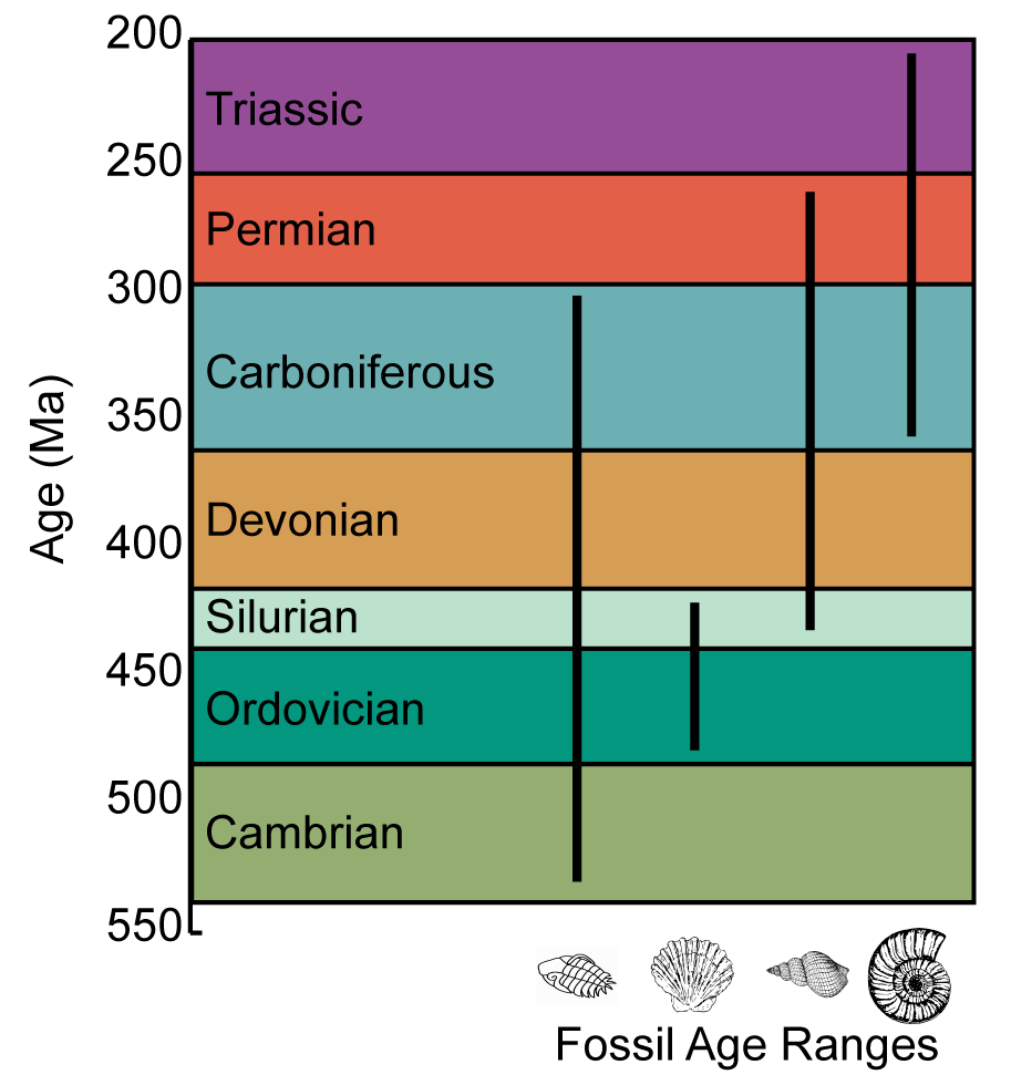 Chapter 3 Geologic Time The Story Of Earth An Observational Guide Chapter 3 Geologic Time The Story Of Earth An Observational Guide