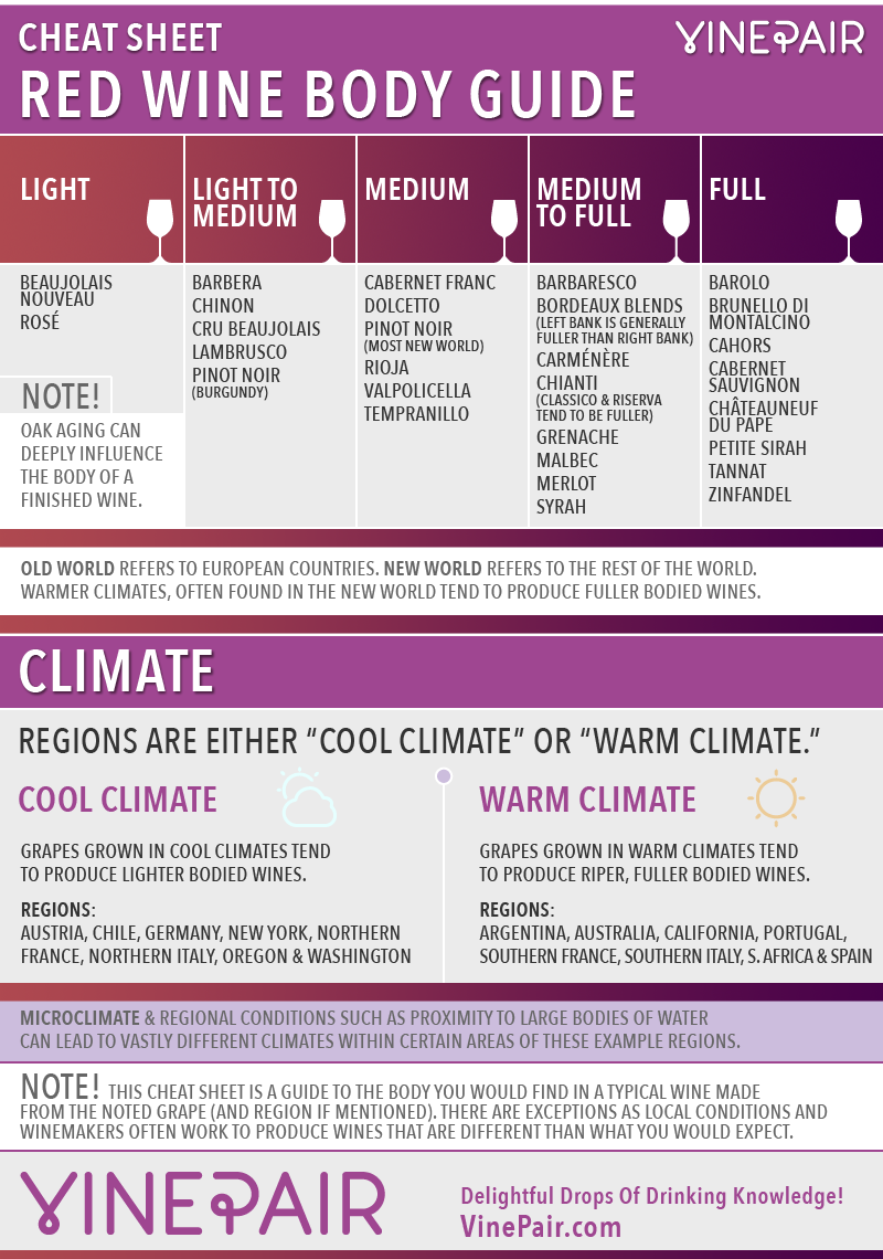 The Different Types Of Red Wine A Beginner S Guide