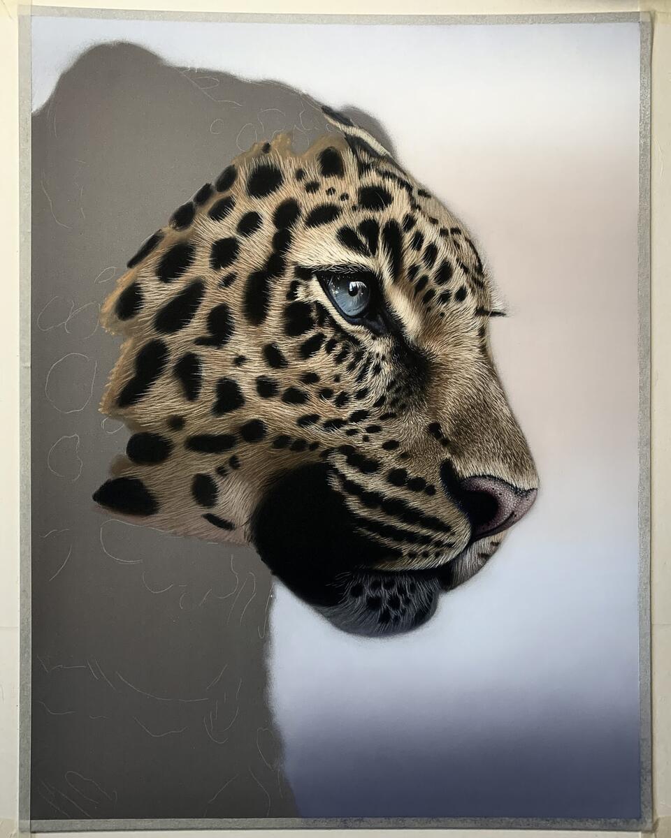 Creating Serene Leopard Pastel Portrait Art Tutorial Shaymus Art Creating Serene Leopard Pastel Portrait Art Tutorial Shaymus Art