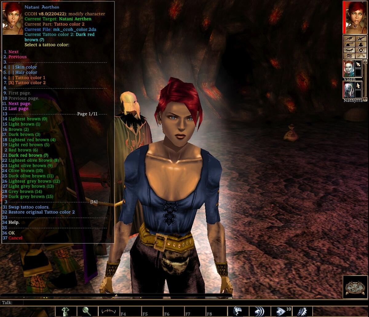 Customize Character Override Hak Extended Edition CCOHEE The Neverwinter Vault