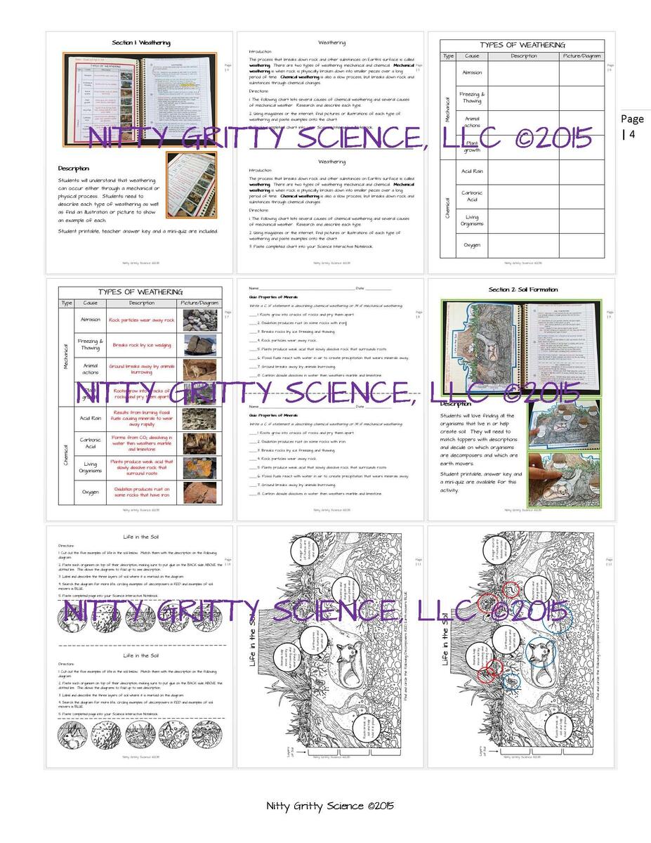 Earth s Changing Surface Worksheets Library