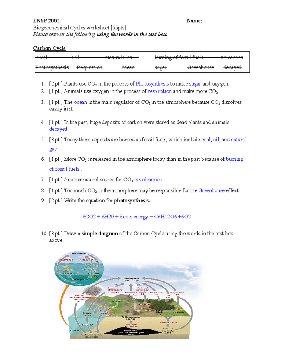 ENSP 2000 Biogeochemical Cycles Worksheet Concepts Questions Studocu ENSP 2000 Biogeochemical Cycles Worksheet Concepts Questions Studocu
