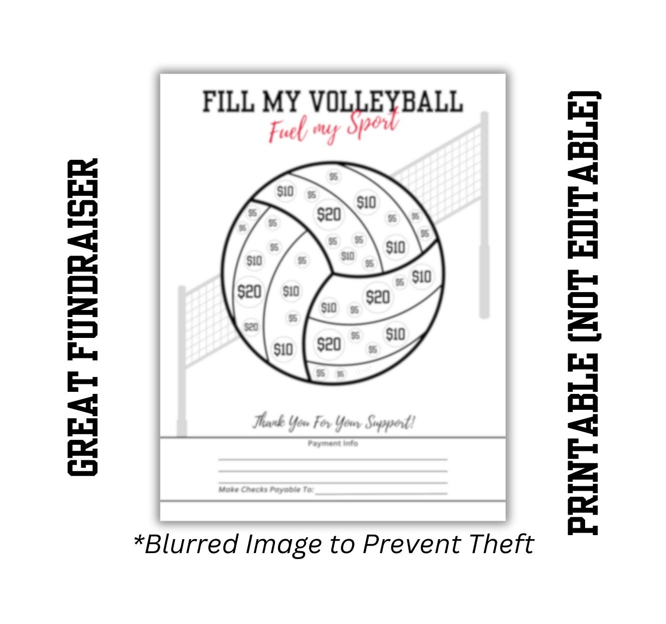 Fill My VOLLEYBALL Fundraiser Printable 8 5 X 11 Color In Donation Spots Instant Download Fun Fundraising Hoops Bball Etsy