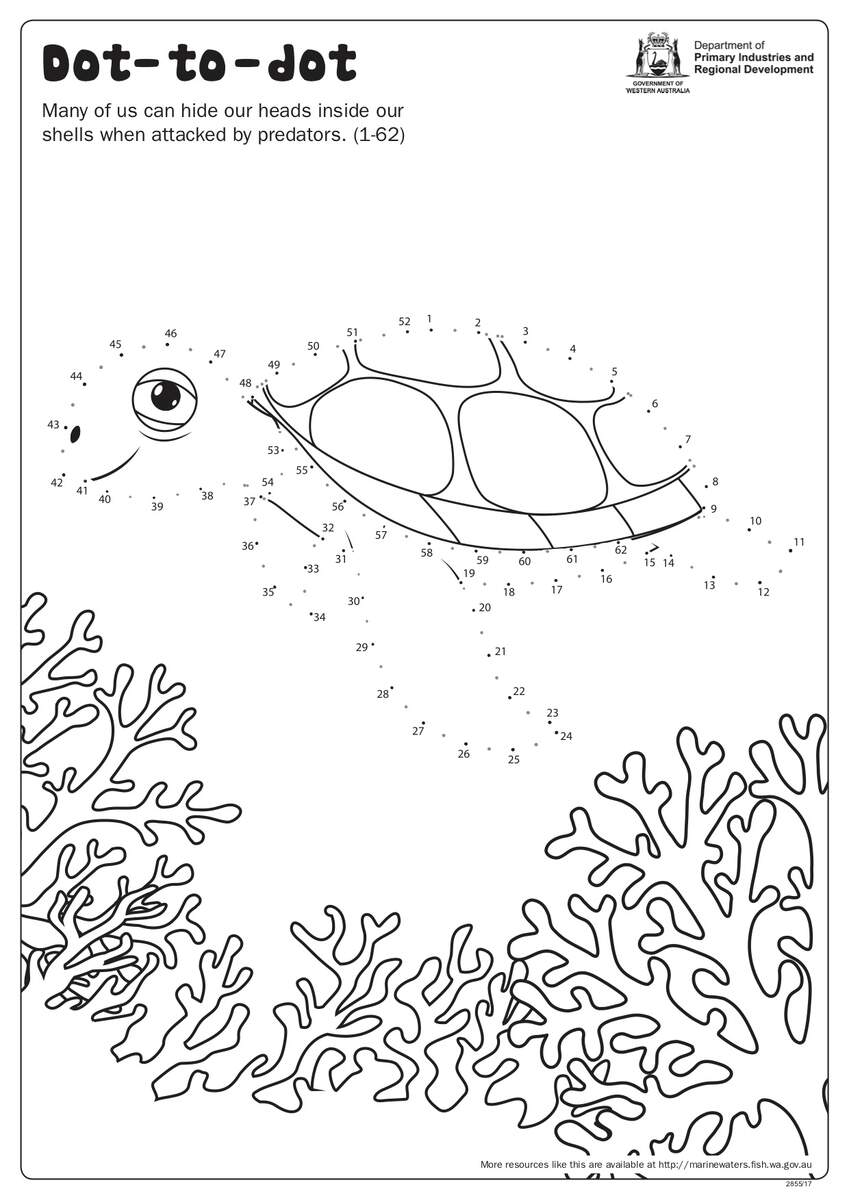 Ocean Animals Connect The Dots Free Printables The Artisan Life
