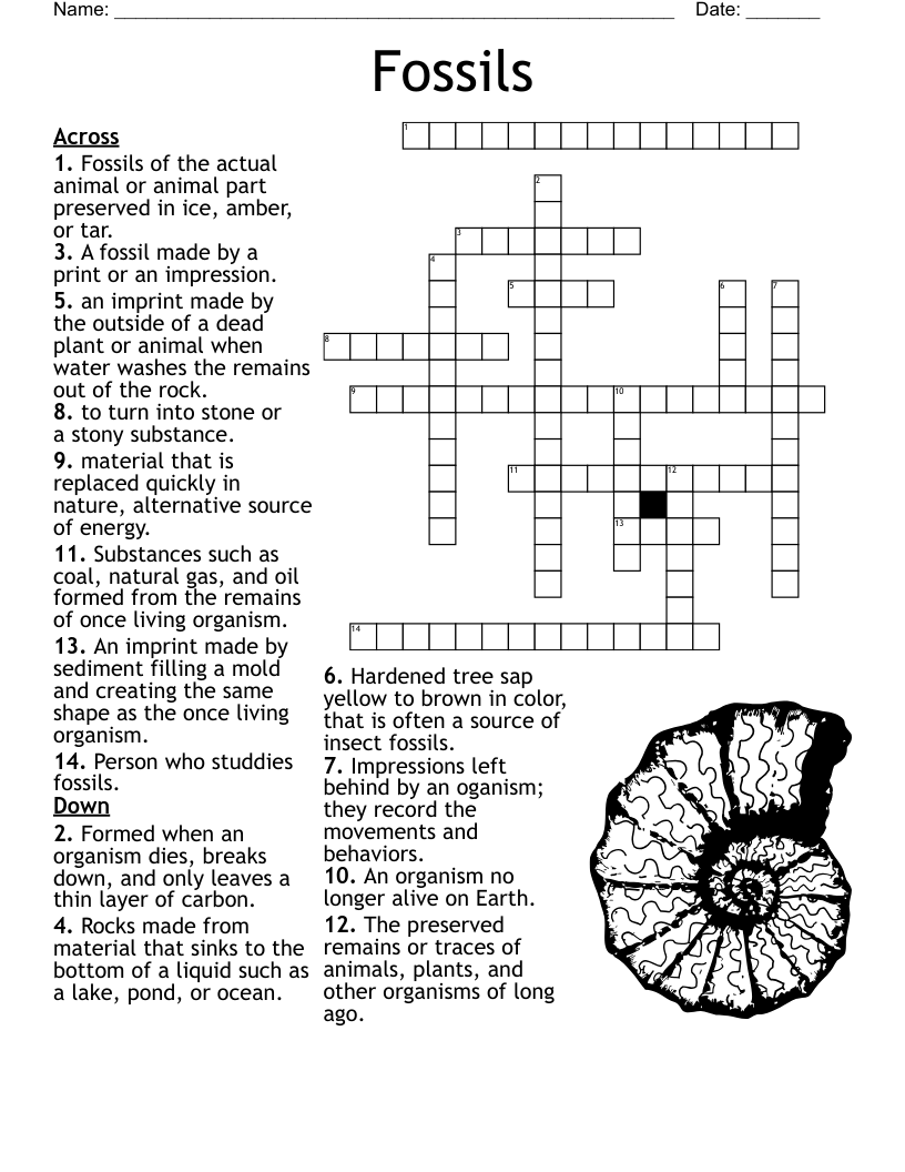 Fossils Crossword WordMint Fossils Crossword WordMint
