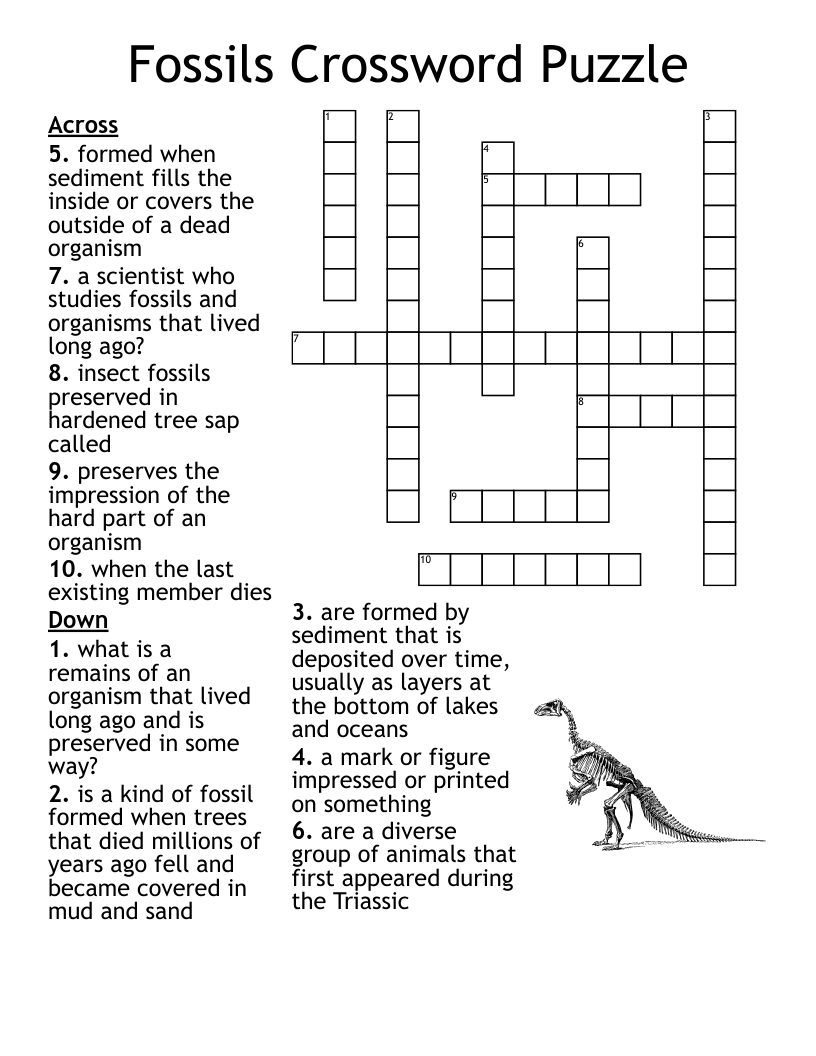 Fossils Crossword WordMint