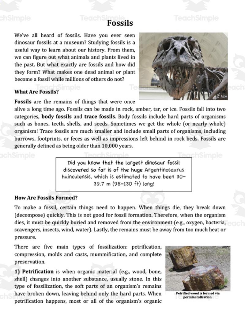 Fossils Scientific Reading Comprehension Article Grades 5 7 By Teach Simple