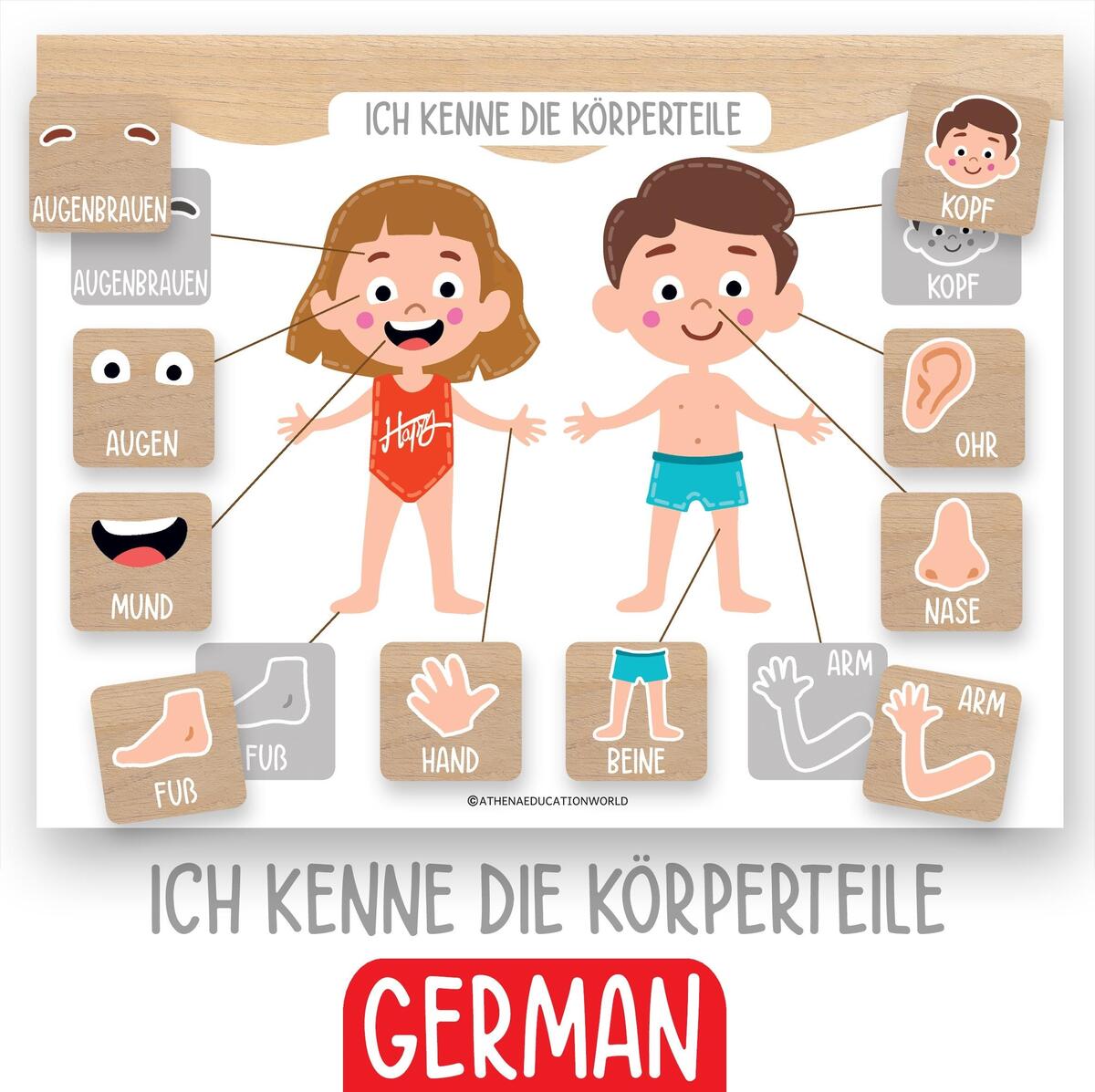 German Body Parts Worksheet Toddler Activity Homeschool Printables Kindergarten Learning Resources Preschool Curriculum Learning Body Parts Etsy German Body Parts Worksheet Toddler Activity Homeschool Printables Kindergarten Learning Resources Preschool Curriculum Learning Body Parts Etsy