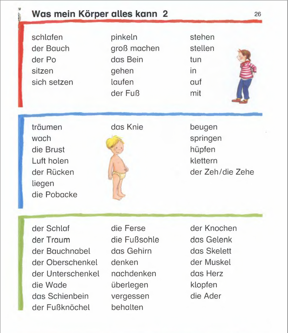 German Learning Topic Vocabulary Body Part 10 German Learning Topic Vocabulary Body Part 10