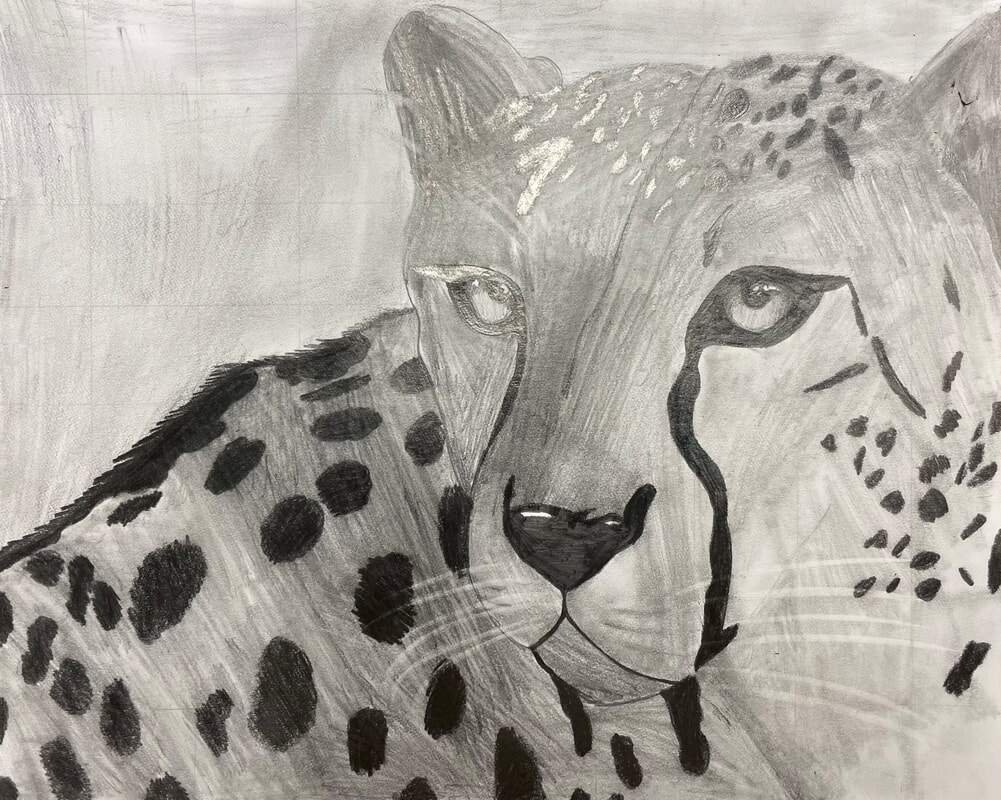 Grid Drawing Anna Hall S Art Room NEWTON BATEMAN ELEMENTARY SCHOOL
