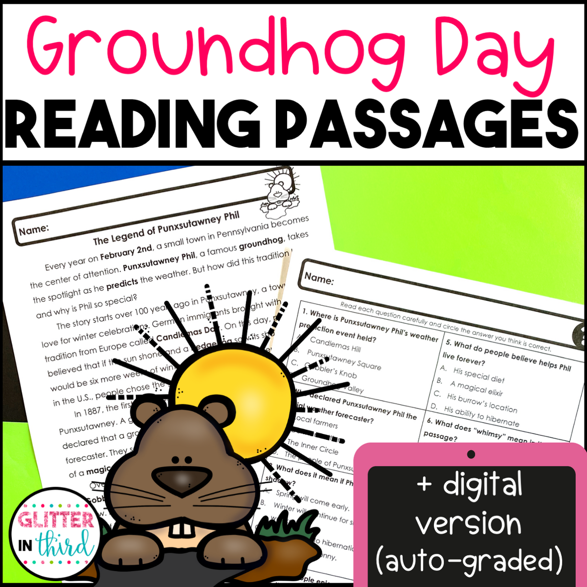 Groundhog Day Worksheets For Reading Comprehension Activities Glitter In Third