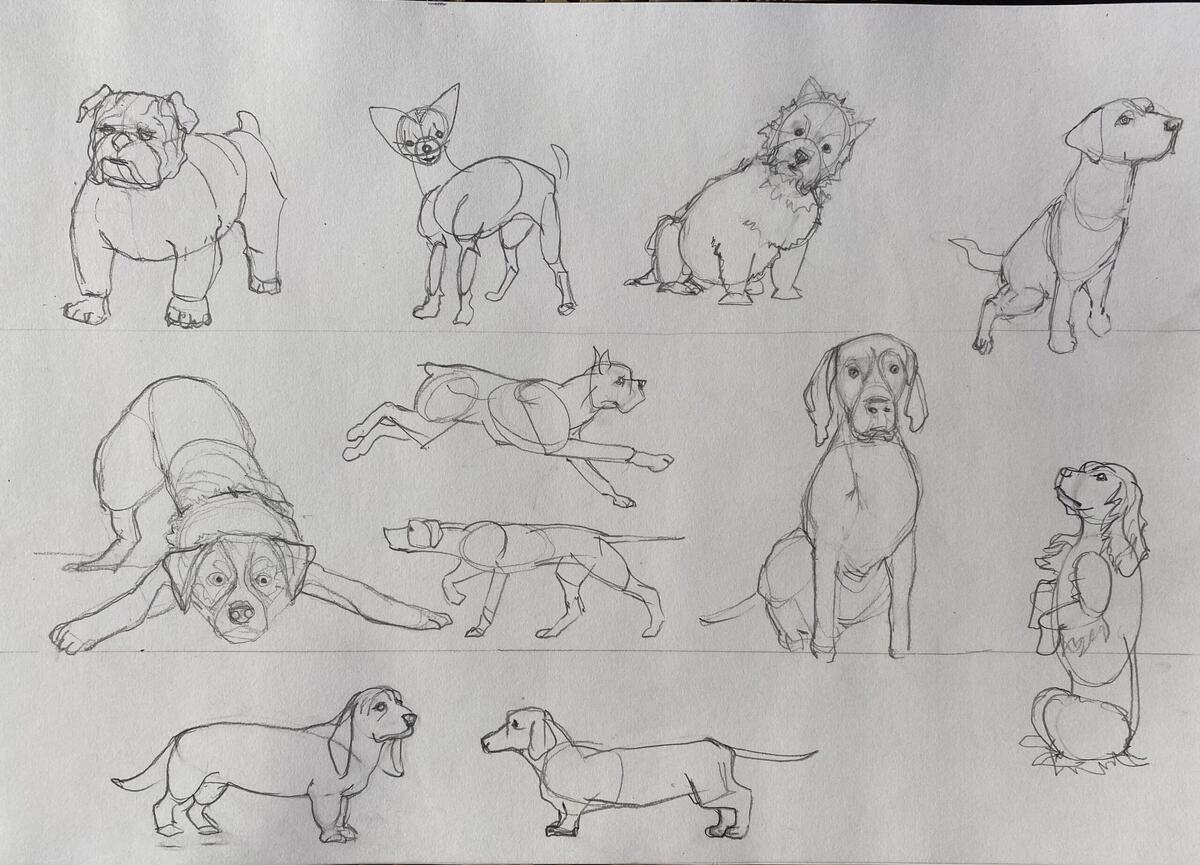 How To Draw Dogs In 4 Easy Steps Emily S Notebook How To Draw Dogs In 4 Easy Steps Emily S Notebook