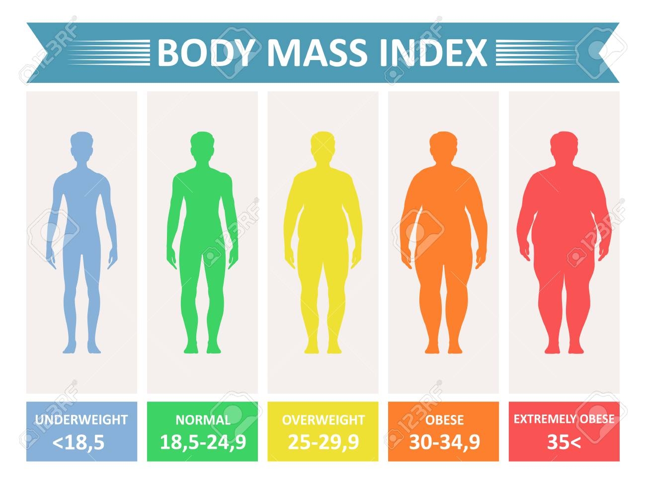 Index Mass Body Rating Chart Of Body Fat Based On Height And Weight In Kilograms Vector Flat Style Cartoon Illustration Isolated On White Background Royalty Free SVG Cliparts Vectors And Stock Illustration