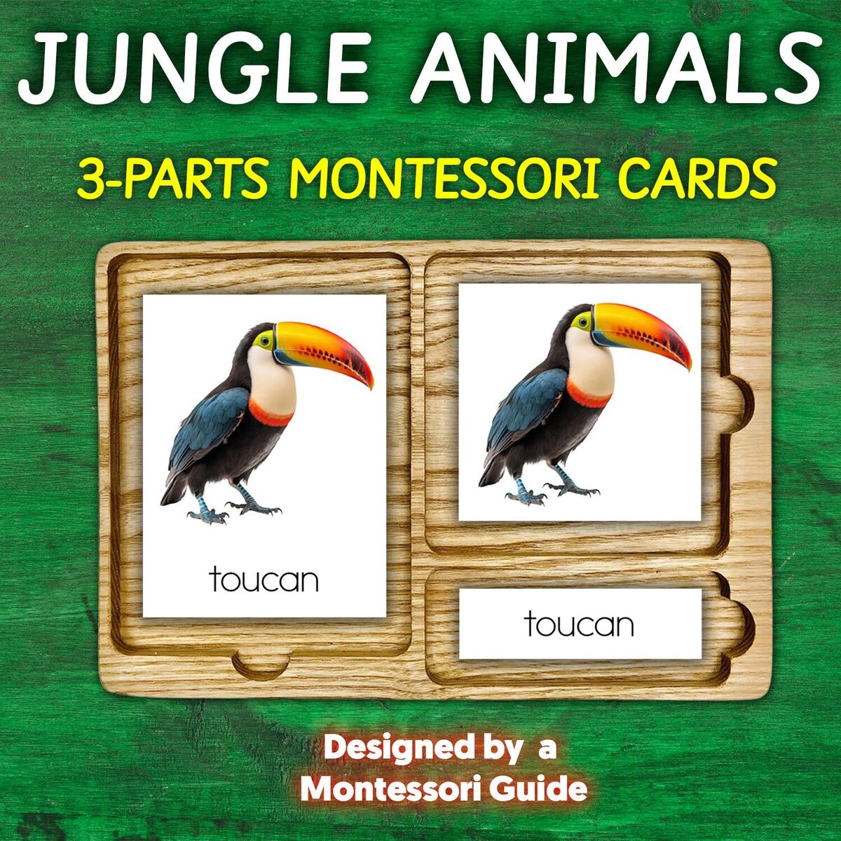 12 Safari Animals Figures Toys With 12 Flash Cards Realistic Mini Jungle Animal EBay