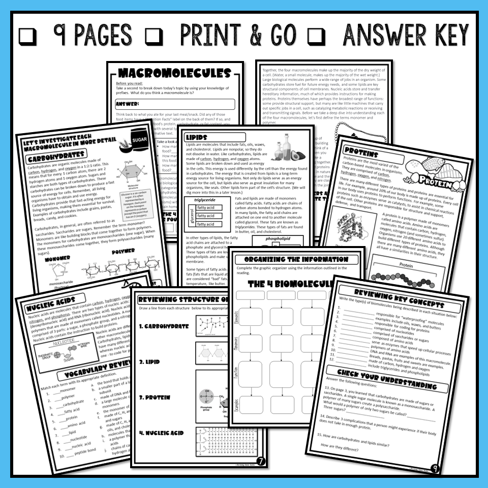 Macromolecules Close Reading Assignment Print And Digital The Trendy Science Teacher