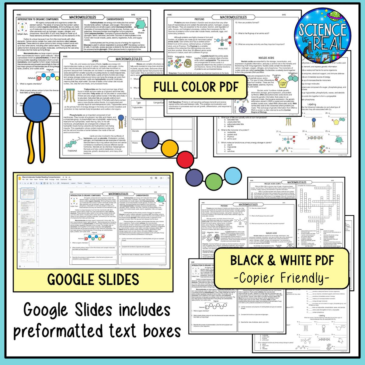 Macromolecules Guided Reading Comprehension With Questions And Activities Classful Macromolecules Guided Reading Comprehension With Questions And Activities Classful
