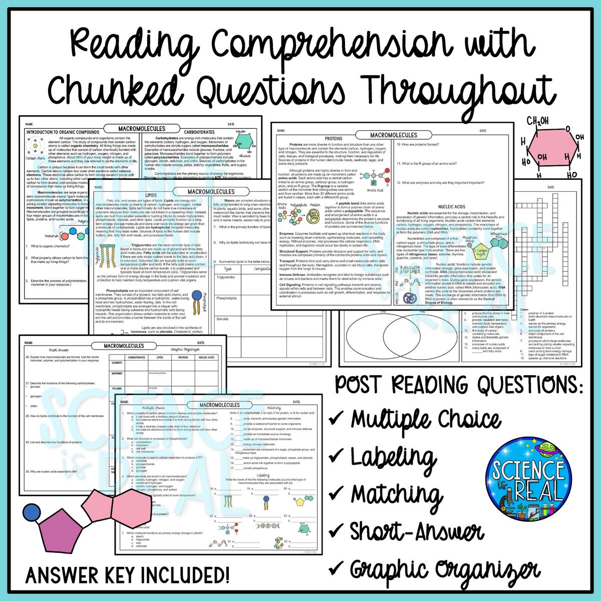 Macromolecules Guided Reading Comprehension With Questions And Activities Classful Macromolecules Guided Reading Comprehension With Questions And Activities Classful