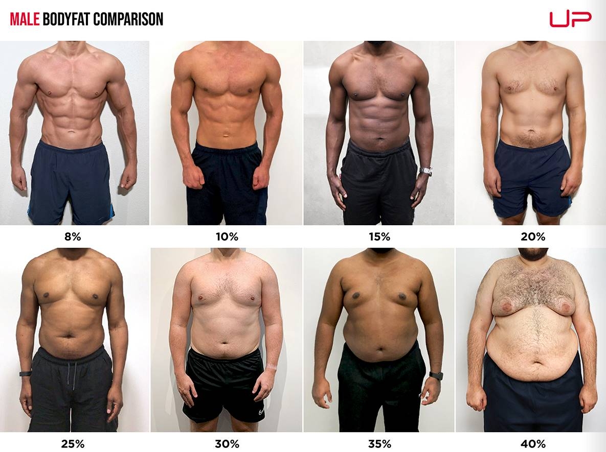 Understanding Body Fat Percentages For Women A Visual Guide