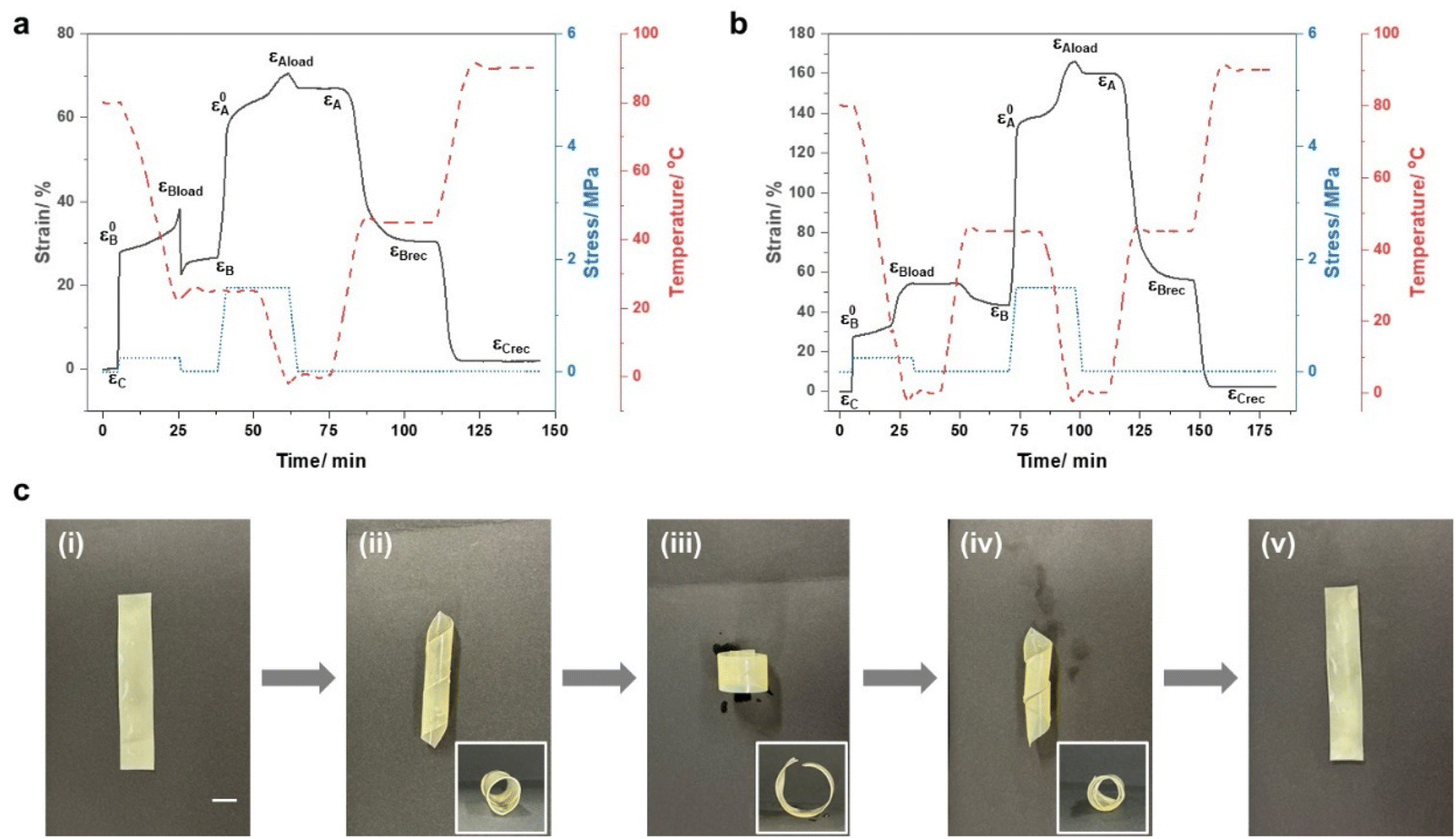 Multiphase PCL Semi Interpenetrating Networks Exhibiting The Triple And Stress Free Two Way Shape Memory Effect Polymer Chemistry RSC Publishing DOI 10 1039 D2PY01607A Multiphase PCL Semi Interpenetrating Networks Exhibiting The Triple And Stress Free Two Way Shape Memory Effect Polymer Chemistry RSC Publishing DOI 10 1039 D2PY01607A