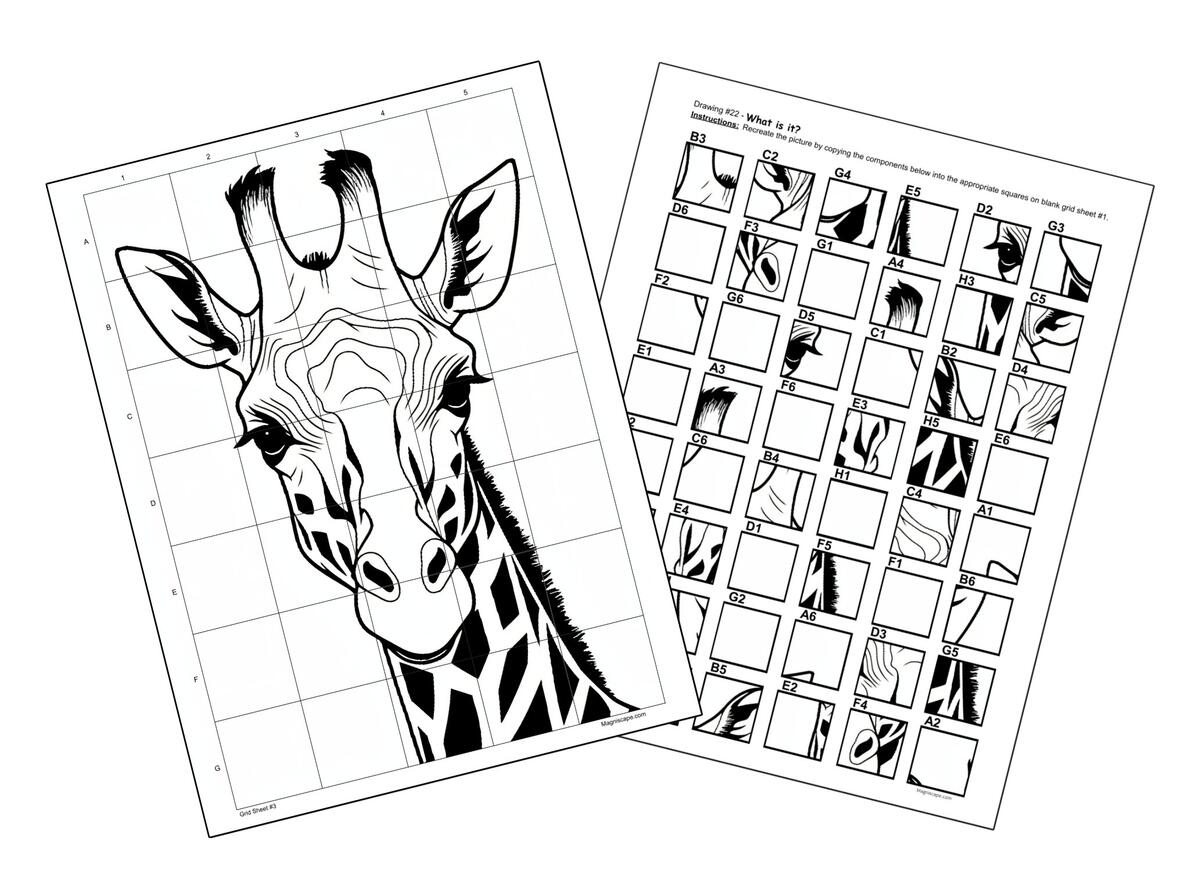 Mystery Grid Drawing Puzzles Volume 1 Magniscape