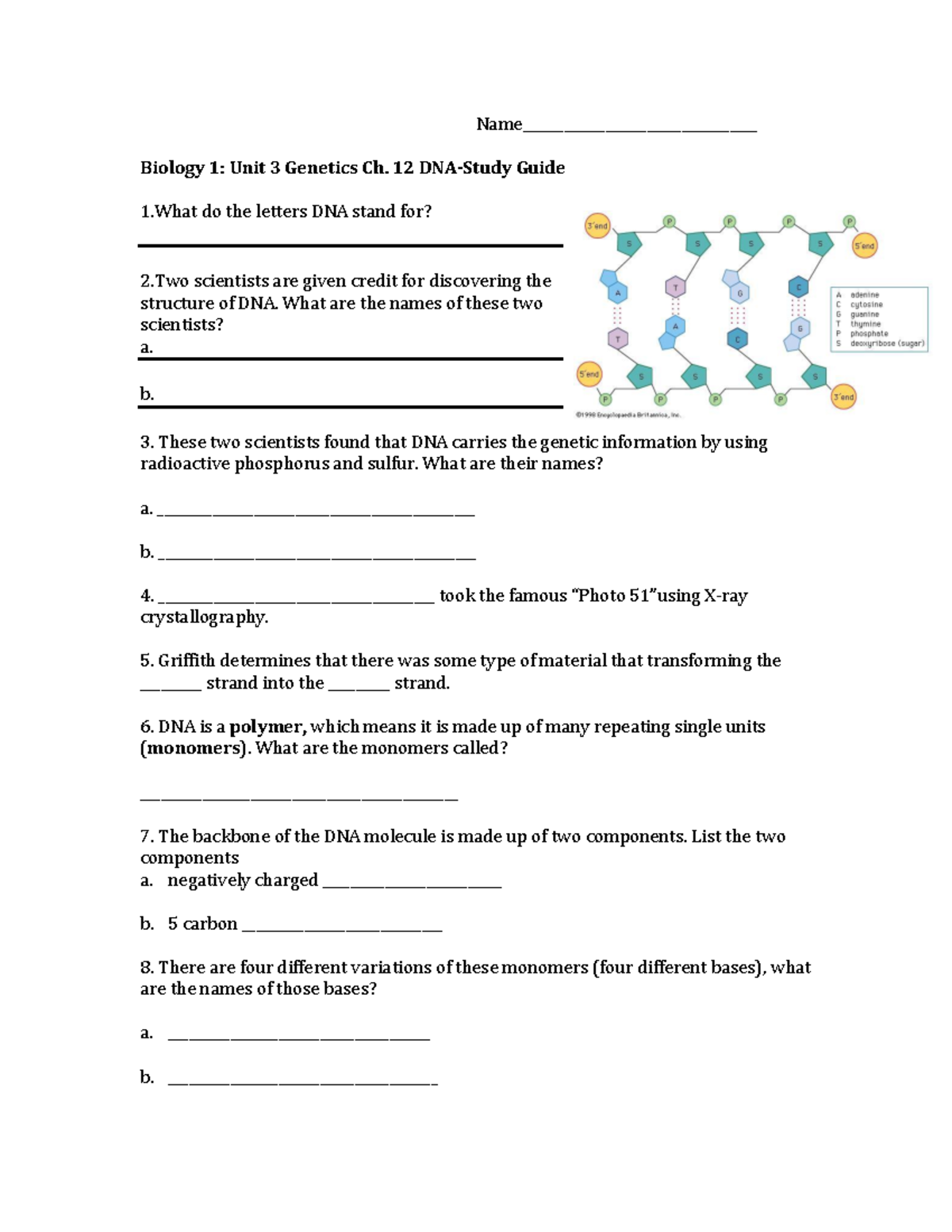 NGSS Life Science DNA Replication Worksheet Model Activity Studocu NGSS Life Science DNA Replication Worksheet Model Activity Studocu