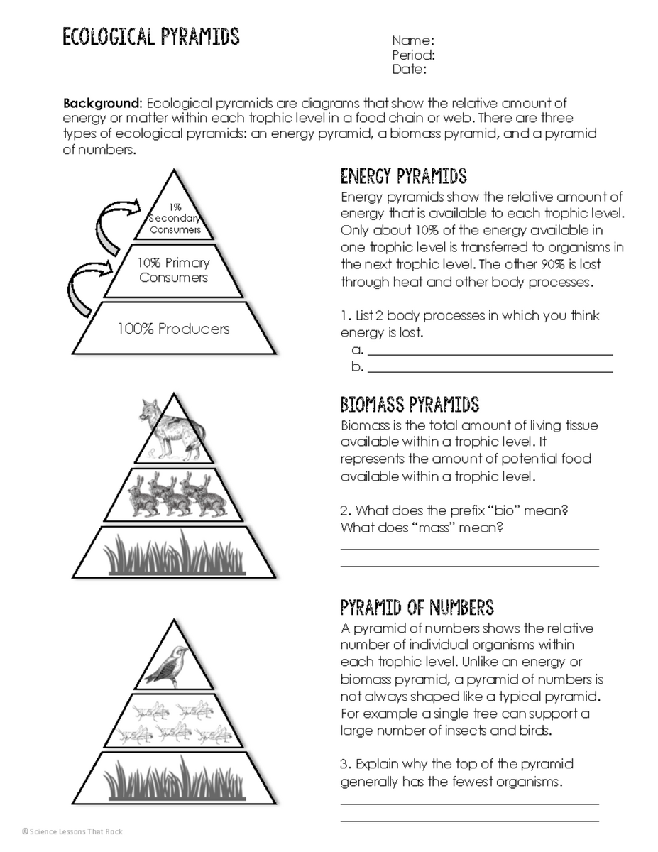 Plant Tropisms Worksheet Understanding Growth Responses To Stimuli Studocu Plant Tropisms Worksheet Understanding Growth Responses To Stimuli Studocu
