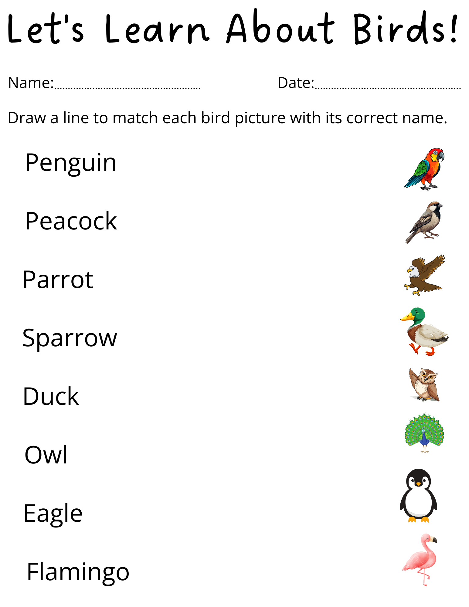 Preschool Birds Name Worksheet For Kindergarten Teaching Resources Printable Birds Left Or Right Spatial Thinking Worksheet For Kids