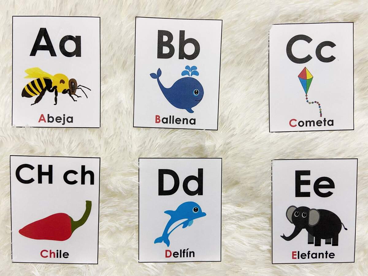 Spanish Alphabet Flash Cards Printable Alphabet Picture Flashcards Beginning Sounds First Learning Cards For Toddlers Preschool Etsy Norway