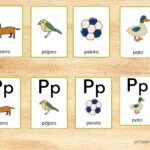 Spanish Printable Alphabet Flashcards Fun Pack Little Spanish