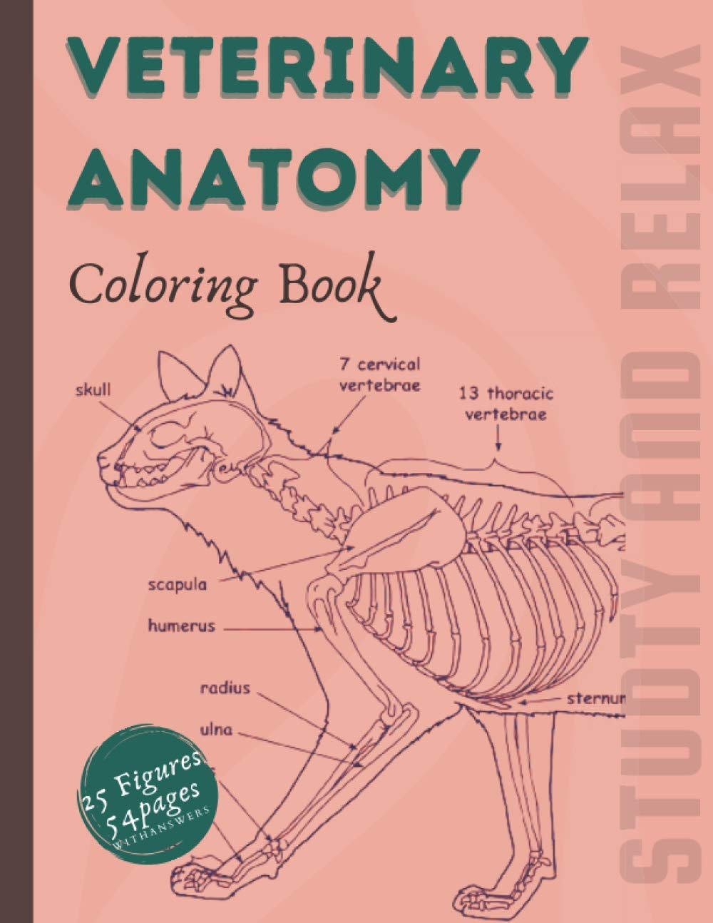 The Veterinary Anatomy Coloring Book Animals Worksheets For Studying And Relaxation 54 Pages 25 Figures With Answers By Lili Biron Goodreads